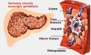ğğğğğğğğğğğğ
